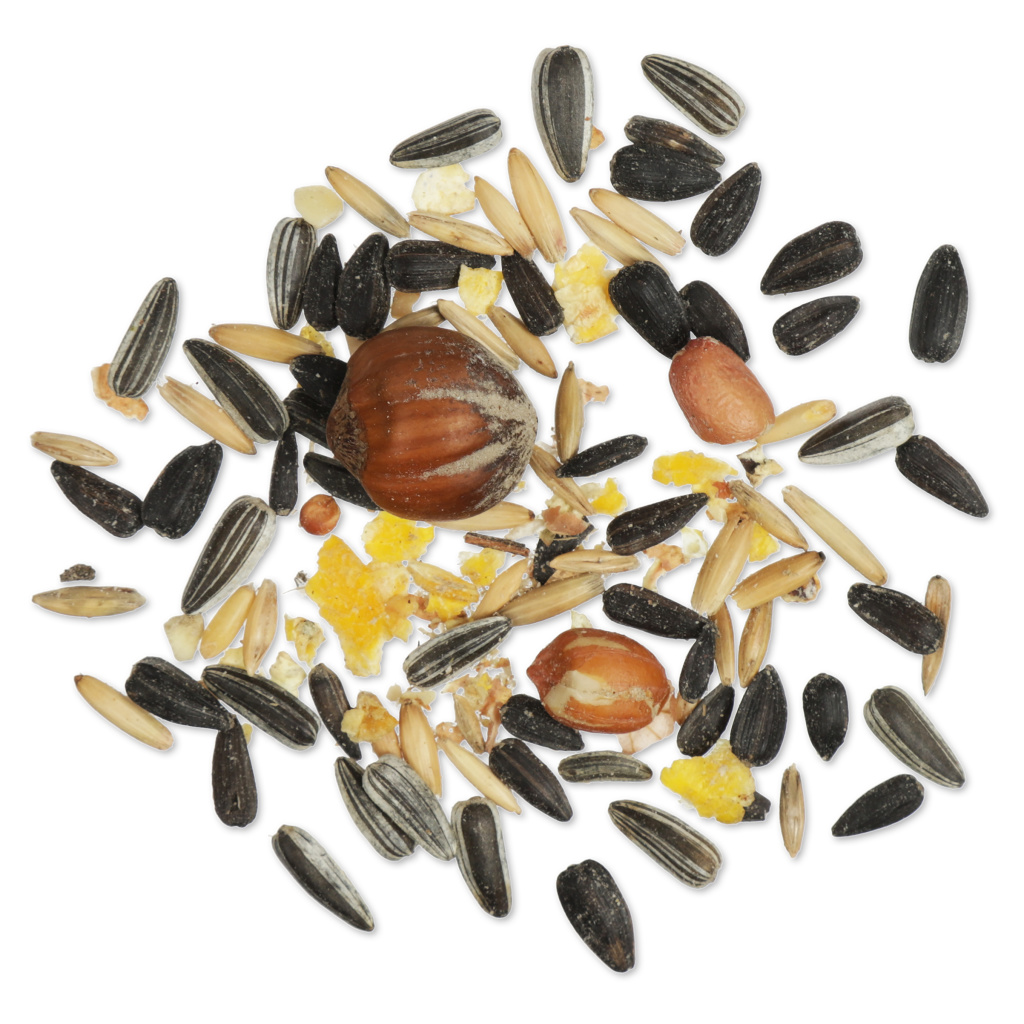 Eichhörnchen-Futtermischung 2 kg | CJ Wildlife